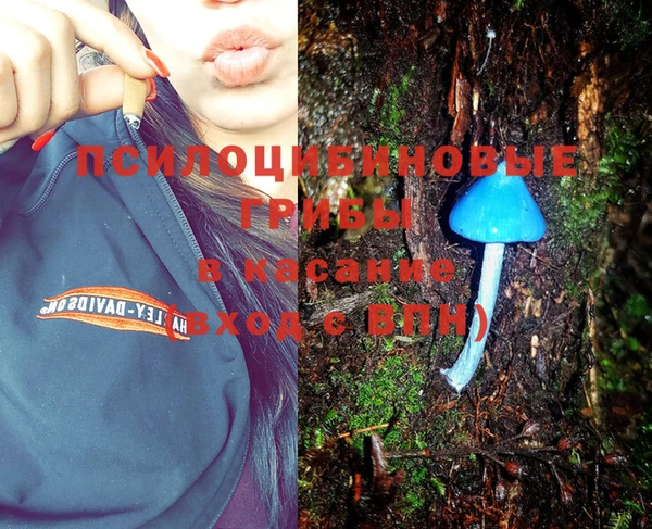 метамфетамин Белокуриха